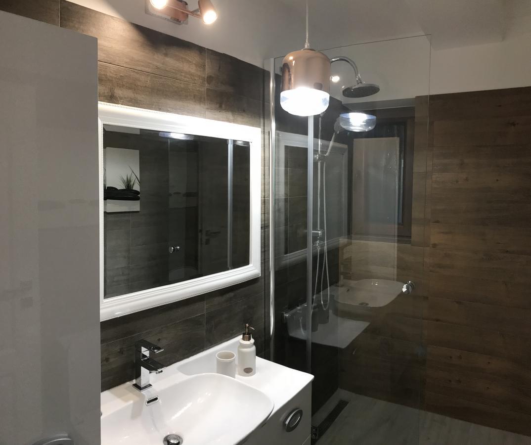 Venetia Apartament - Timisoaraアパートメント エクステリア 写真